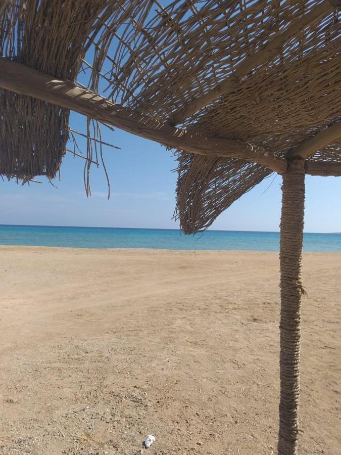 Deep South Eco-Lodge Marsa Alam Екстериор снимка